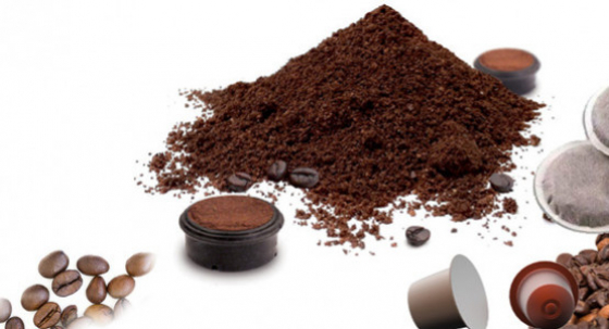 Dosettes souples, dosettes dures ou capsules ? 